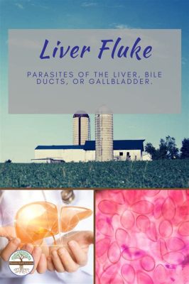  Liver Fluke: This Parasite That Lives In Bile Ducts Might Just Be Looking For Some Gallbladder Roommates!